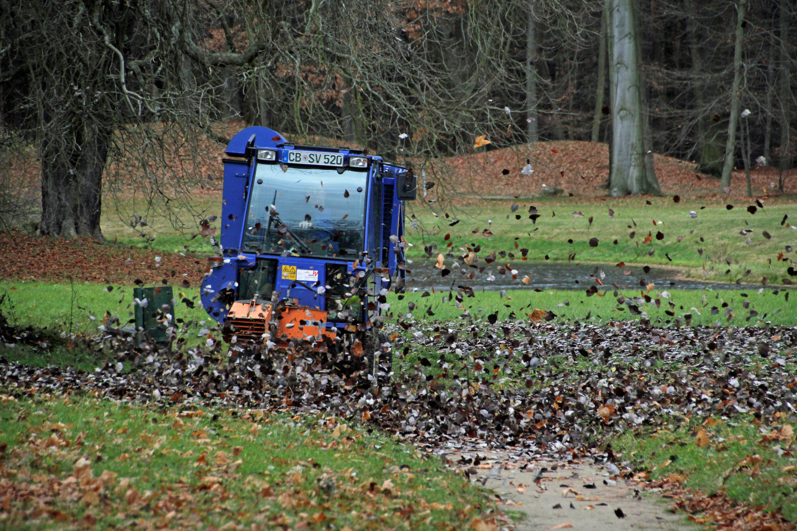 Herbstlaub bei Selbstabholung meistbietend zu verkaufen