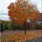 Herbstlaub