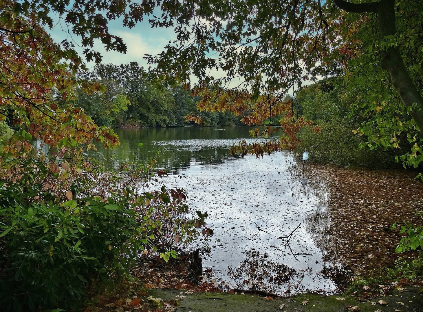 Herbstlaub