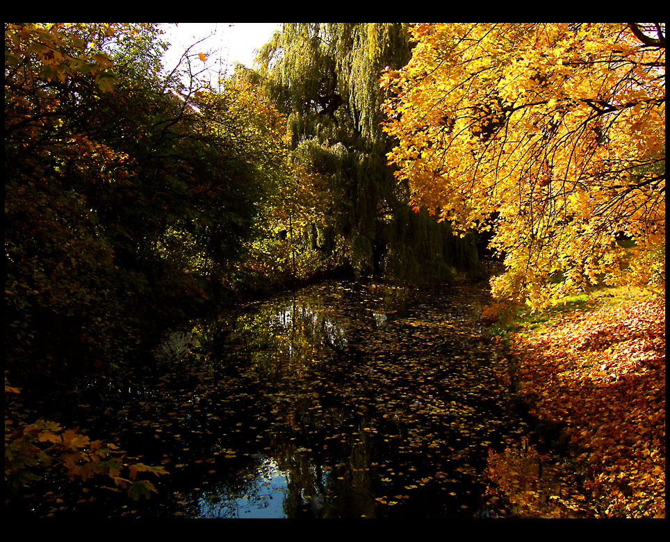 Herbstlaub...