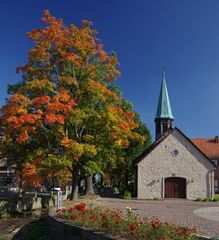 Herbstlaub