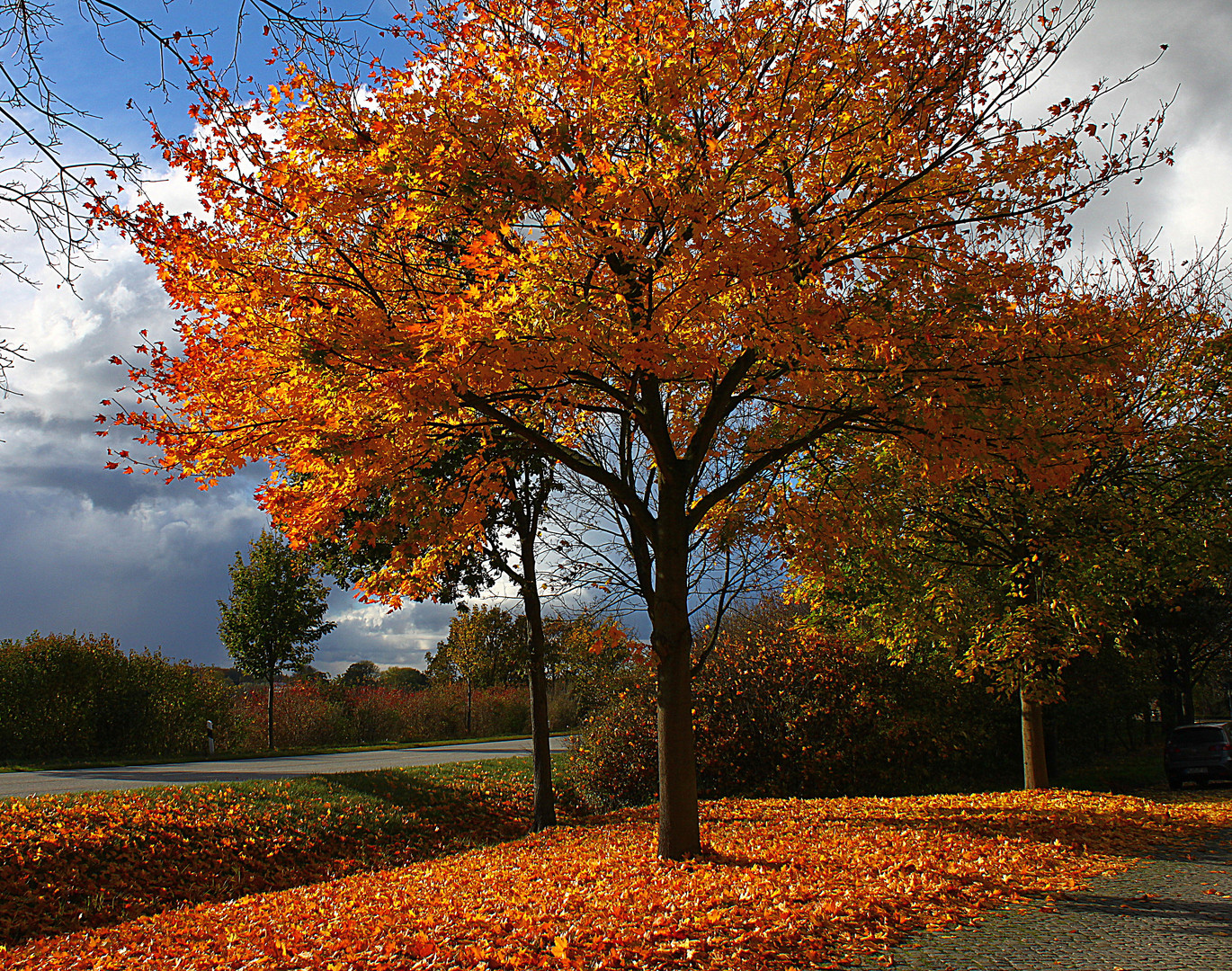 Herbstlaub