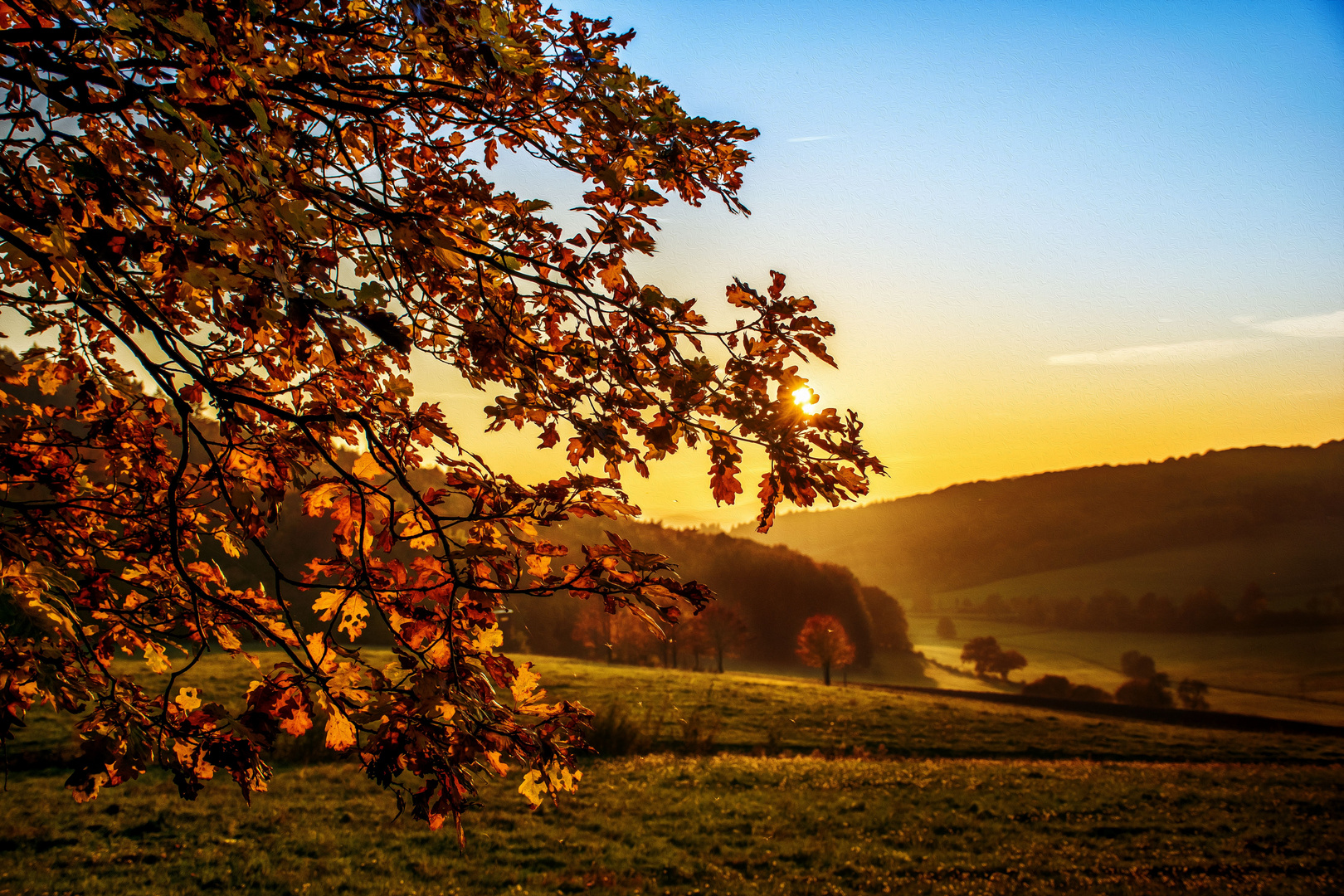 Herbstlaub