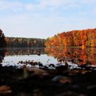 Herbstlaub die zweite