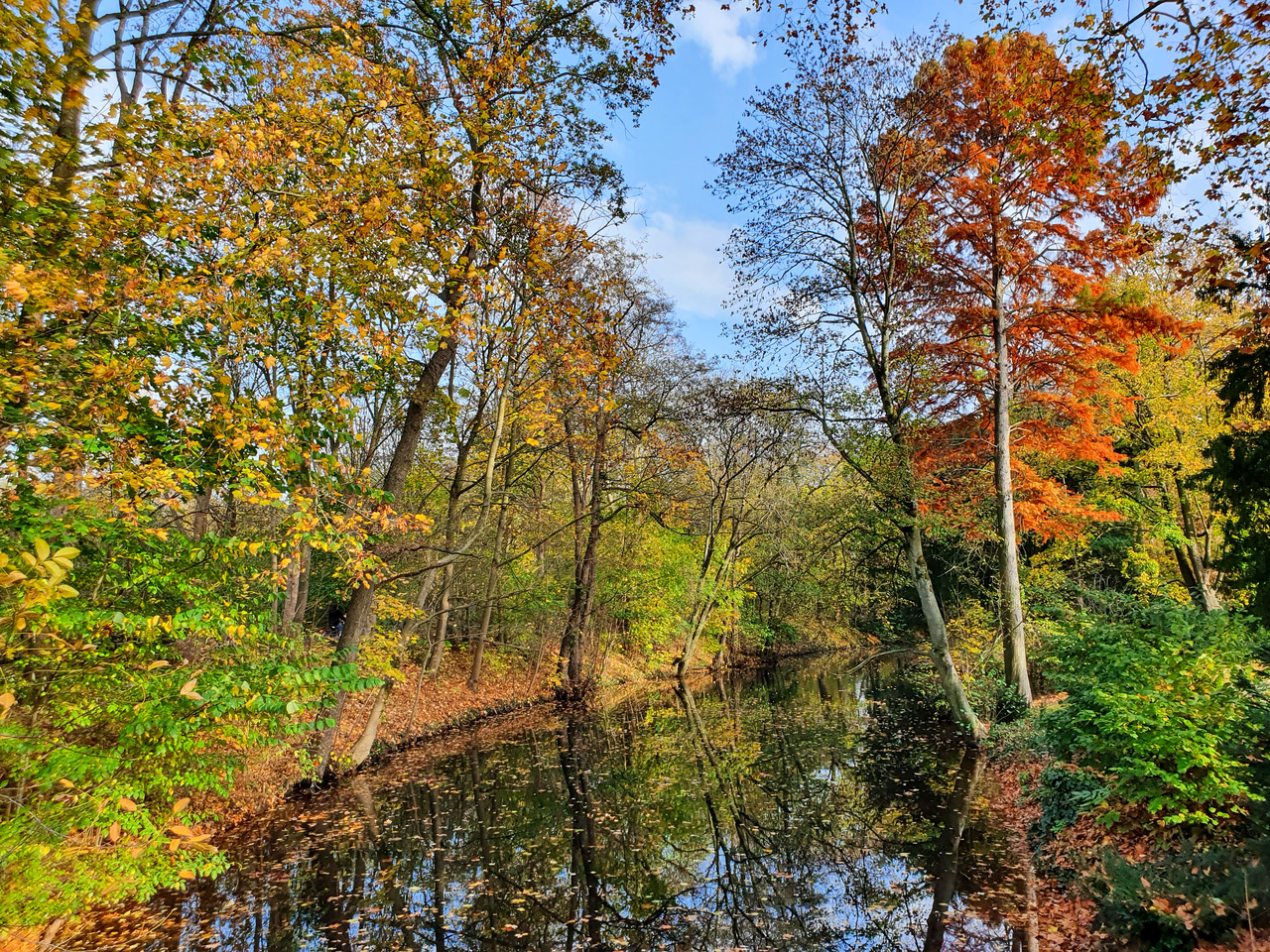 Herbstlaub Eller Schlosspark Düsseldorf