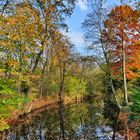 Herbstlaub Eller Schlosspark Düsseldorf