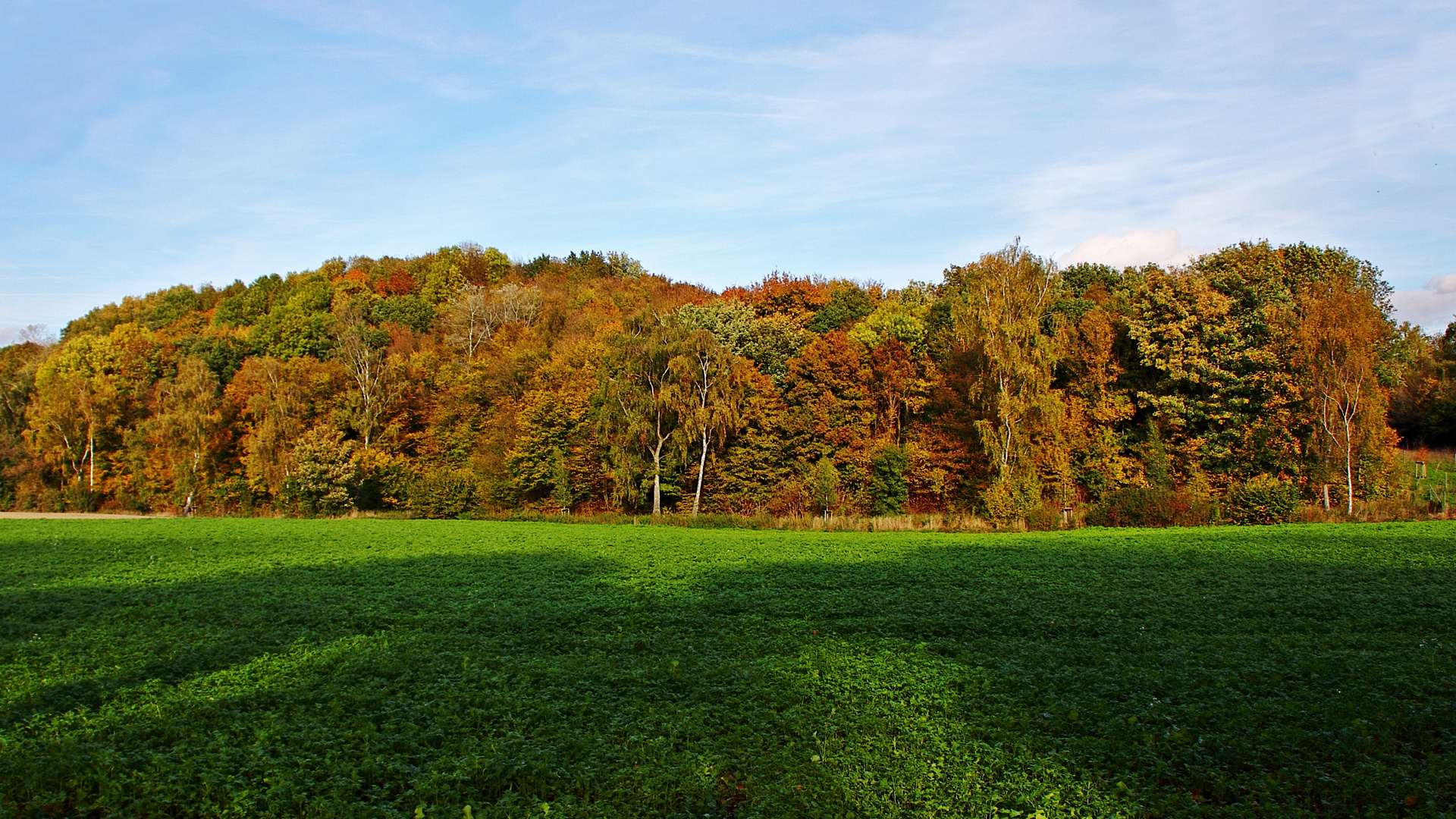 Herbstlaub