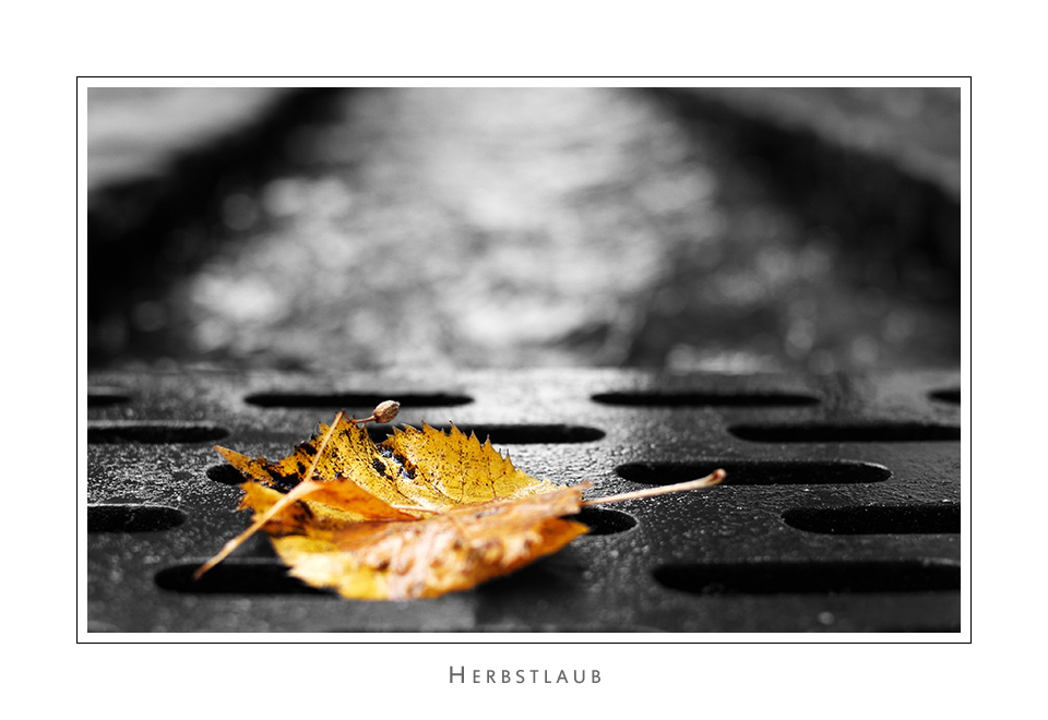 Herbstlaub