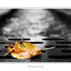 Herbstlaub