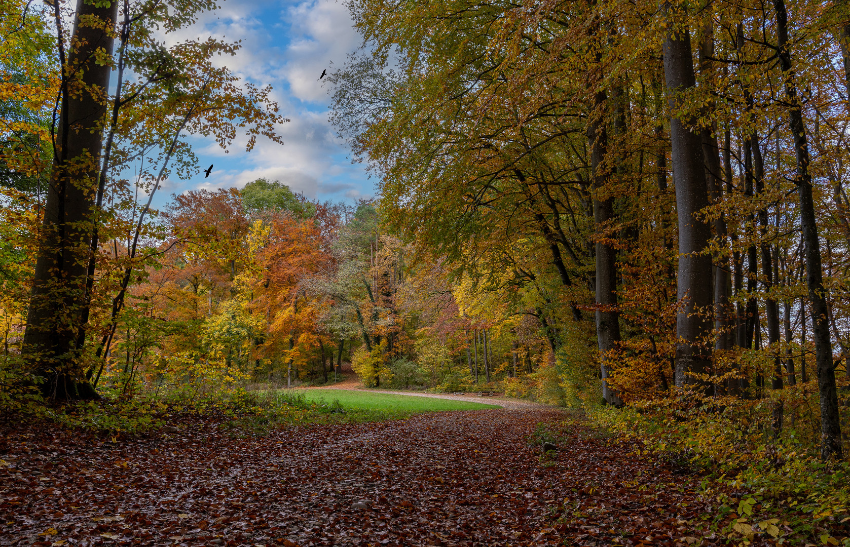 Herbstlaub