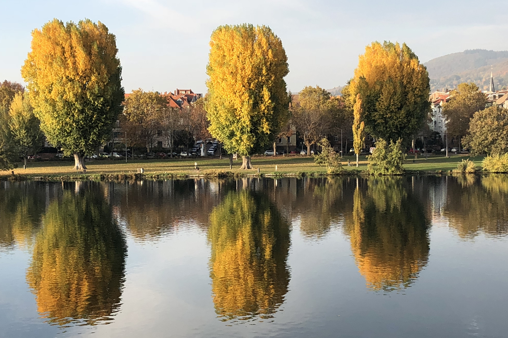 Herbstlaub 