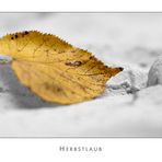 Herbstlaub II