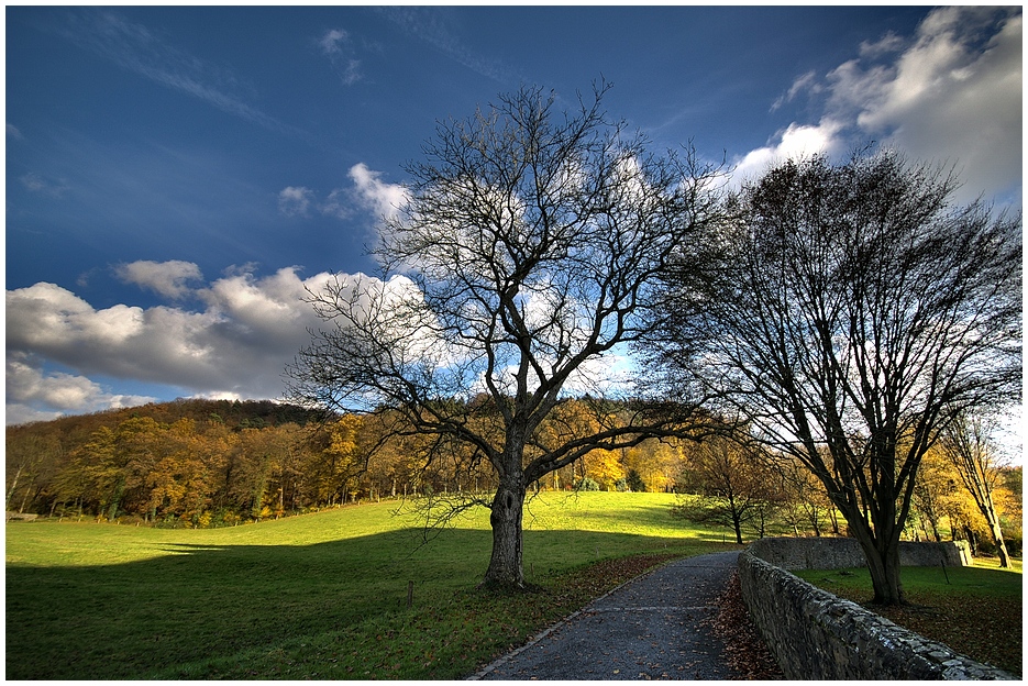 Herbstlaub III