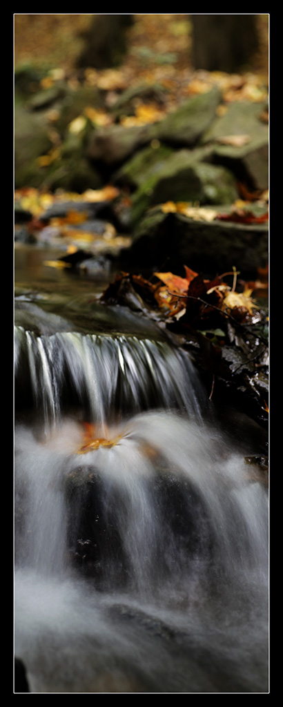 Herbstlaub im Bachlauf