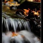 Herbstlaub im Bachlauf