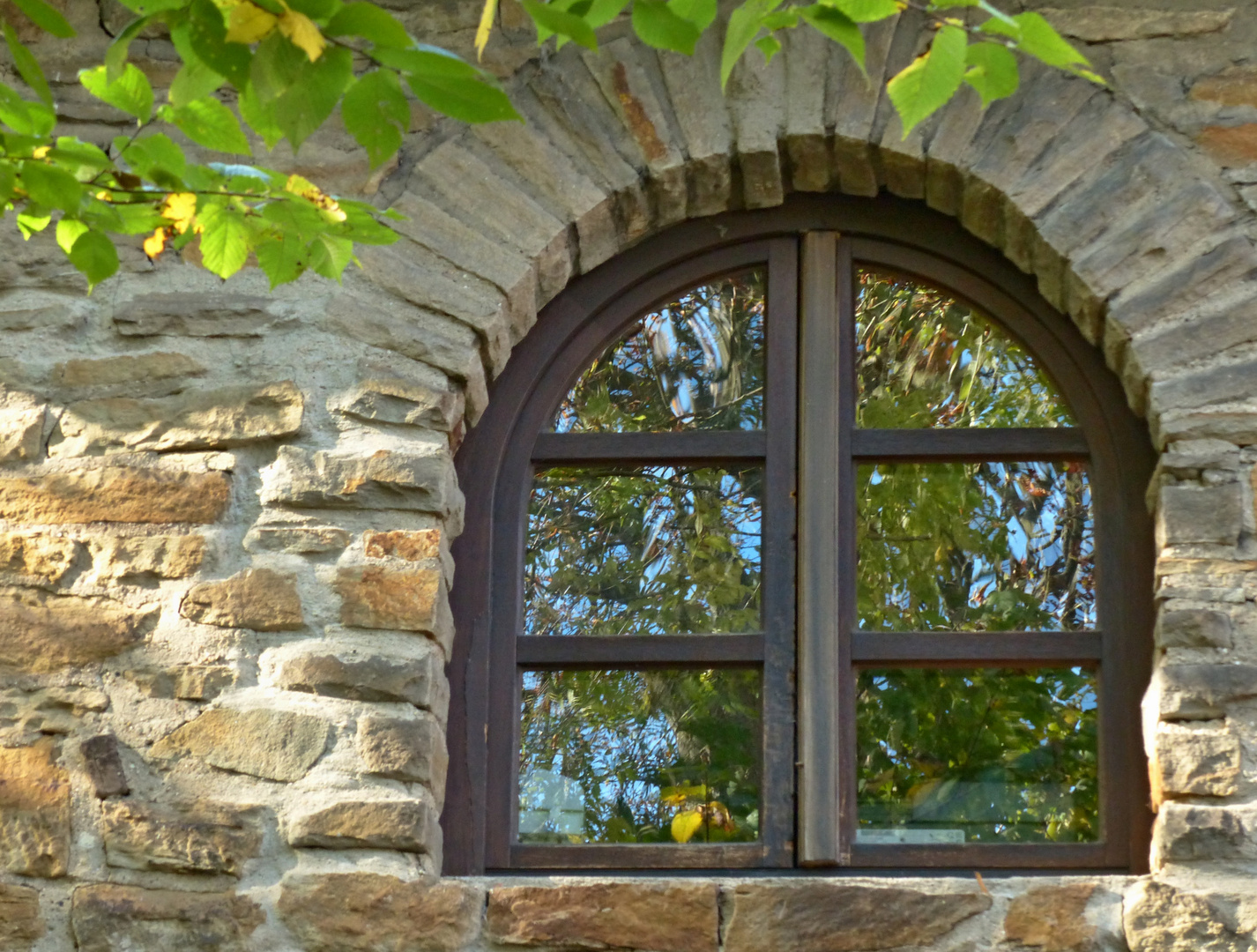 Herbstlaub im Fensterspiegel