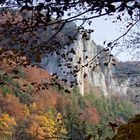 Herbstlaub im oberen Donautal