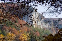 Herbstlaub im oberen Donautal