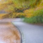 Herbstlaub im Stempflesee