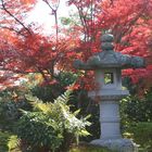 Herbstlaub in Arashiyama III