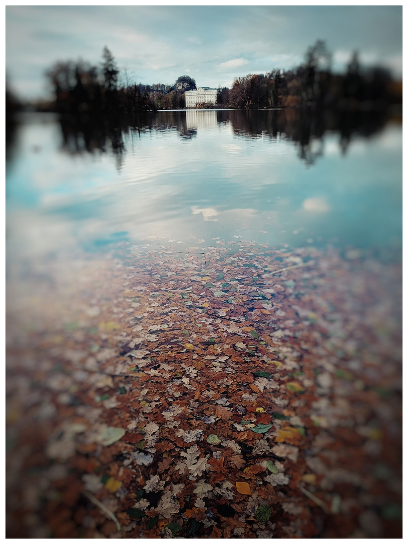 Herbstlaub mit Schloß