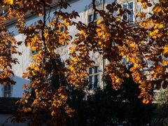 Herbstlaub mit Schloßblick