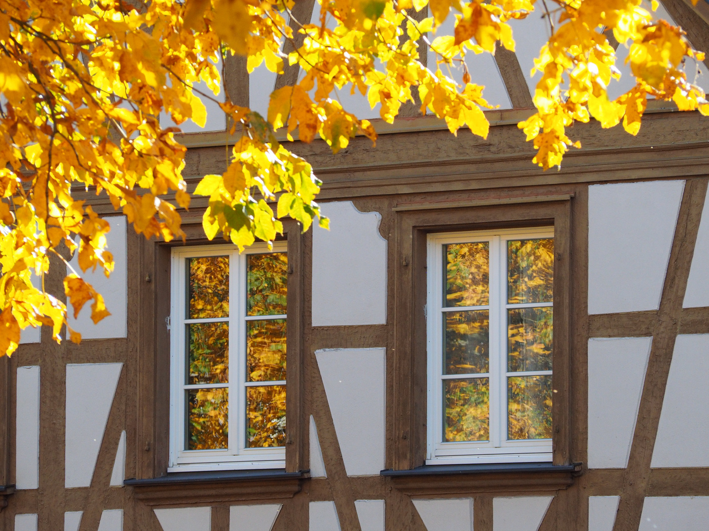 Herbstlaub mit Spiegelung