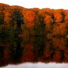 Herbstlaub spiegelt sich