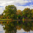 Herbstlaub spiegle dich