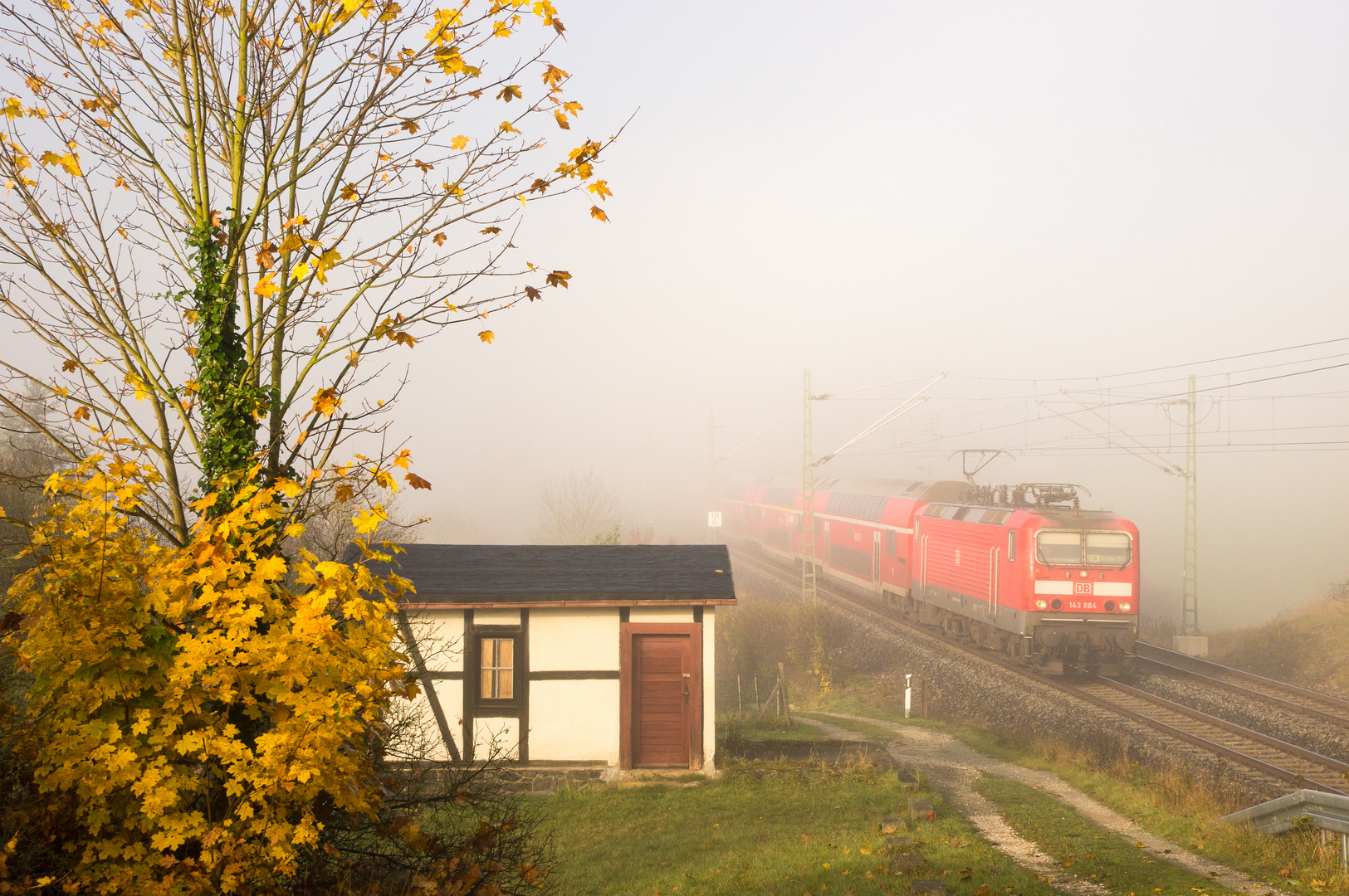 Herbstlaub und Nebelstimmung