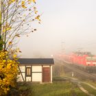 Herbstlaub und Nebelstimmung