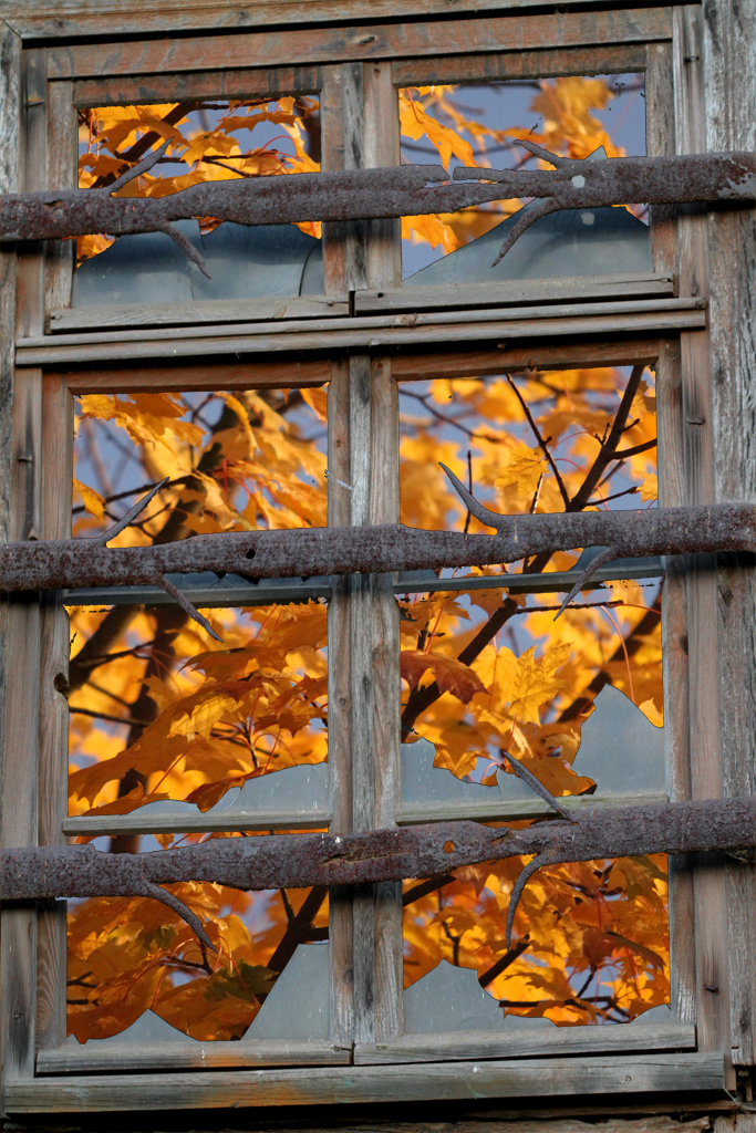 Herbstlaub vor dem Fenster