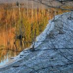 Herbstlaub...             zum Spiegeltag 01.02.2022