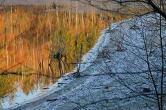 Herbstlaub...             zum Spiegeltag 01.02.2022