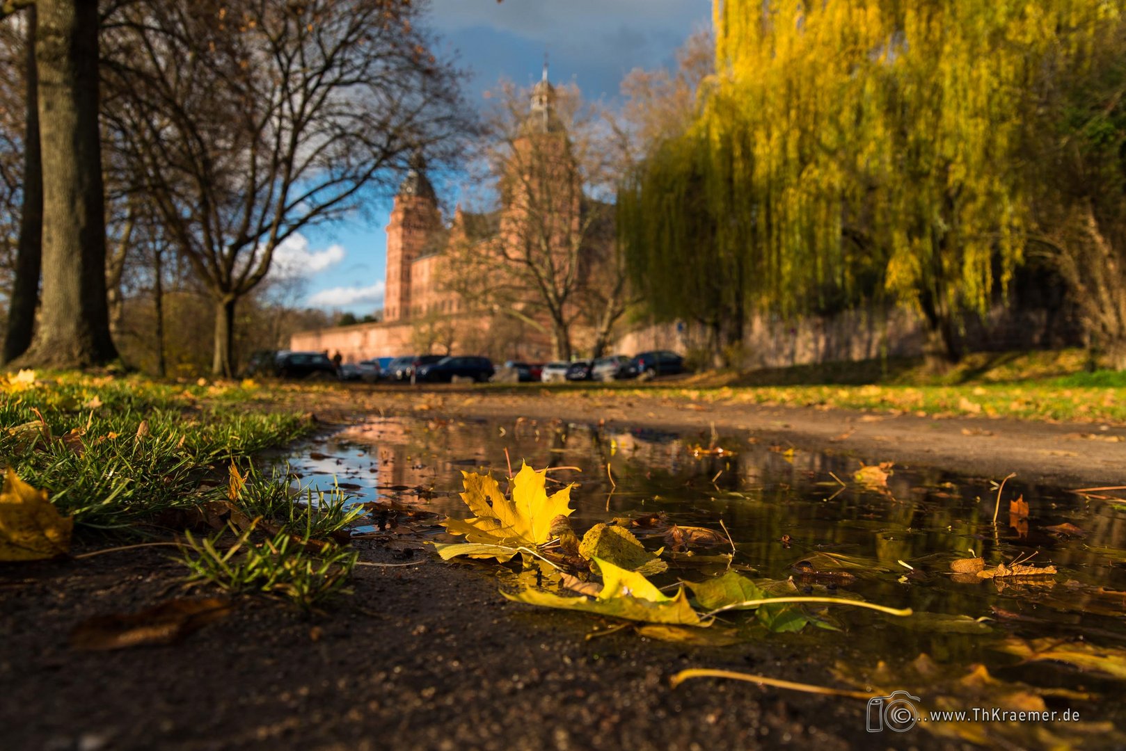 Herbstlaub_D753057