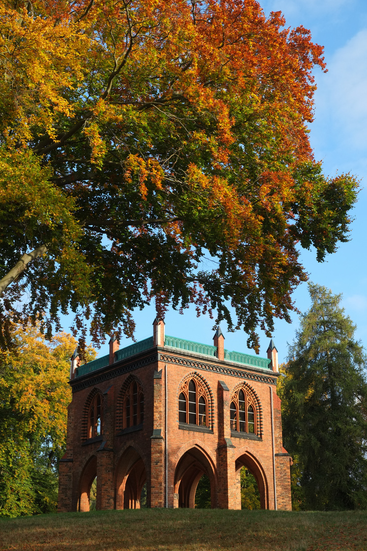 Herbstlaube