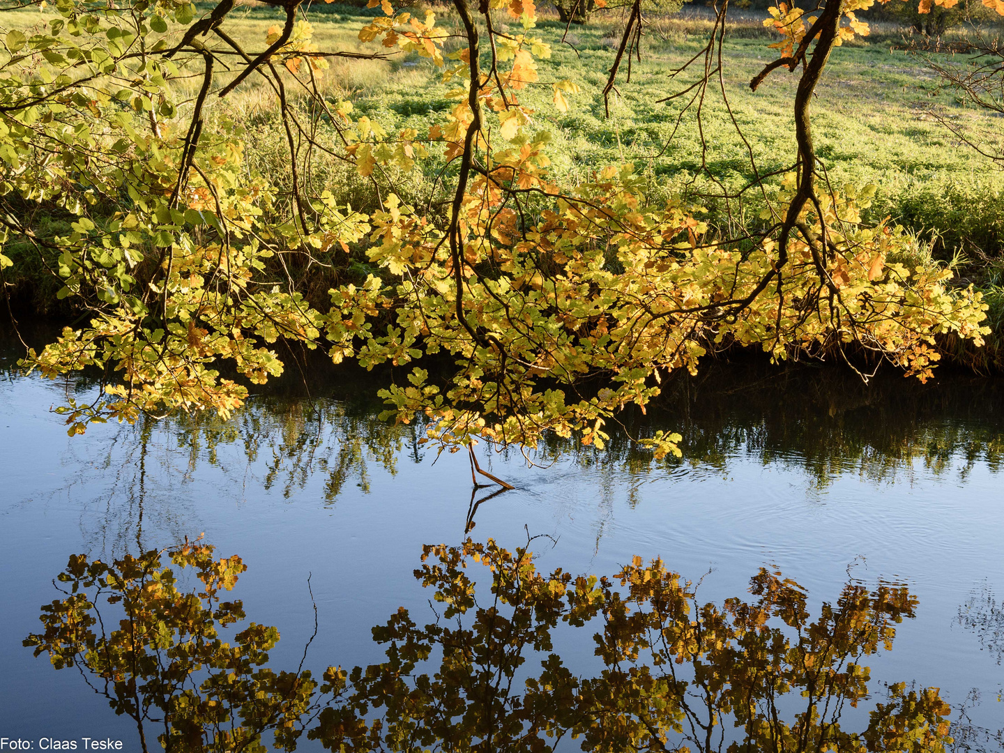 Herbstlaubspiegelung