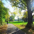 Herbstlauf