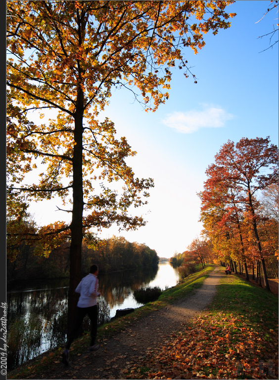 Herbstlauf