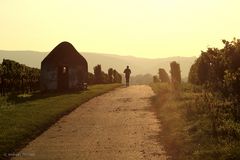 Herbstlauf