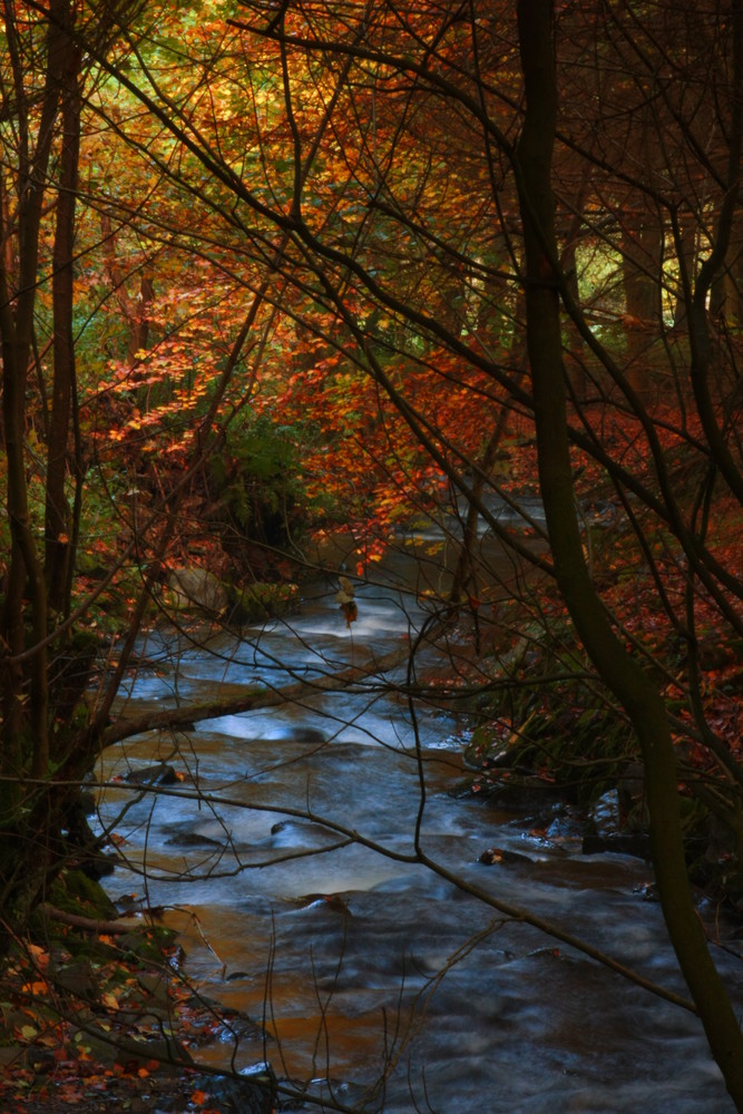 Herbstlauf