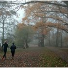 HerbstLauf