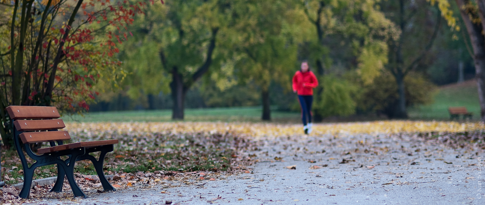 Herbstlauf