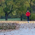 Herbstlauf