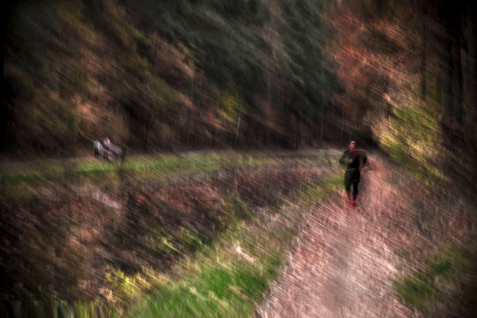 Herbstlauf im Herbstlaub