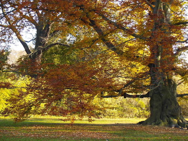 Herbstlaune