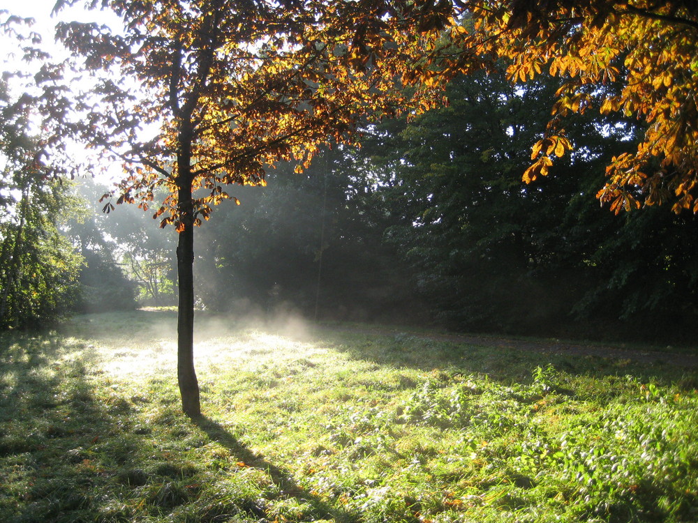 Herbstlaune