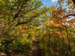 Herbstlese