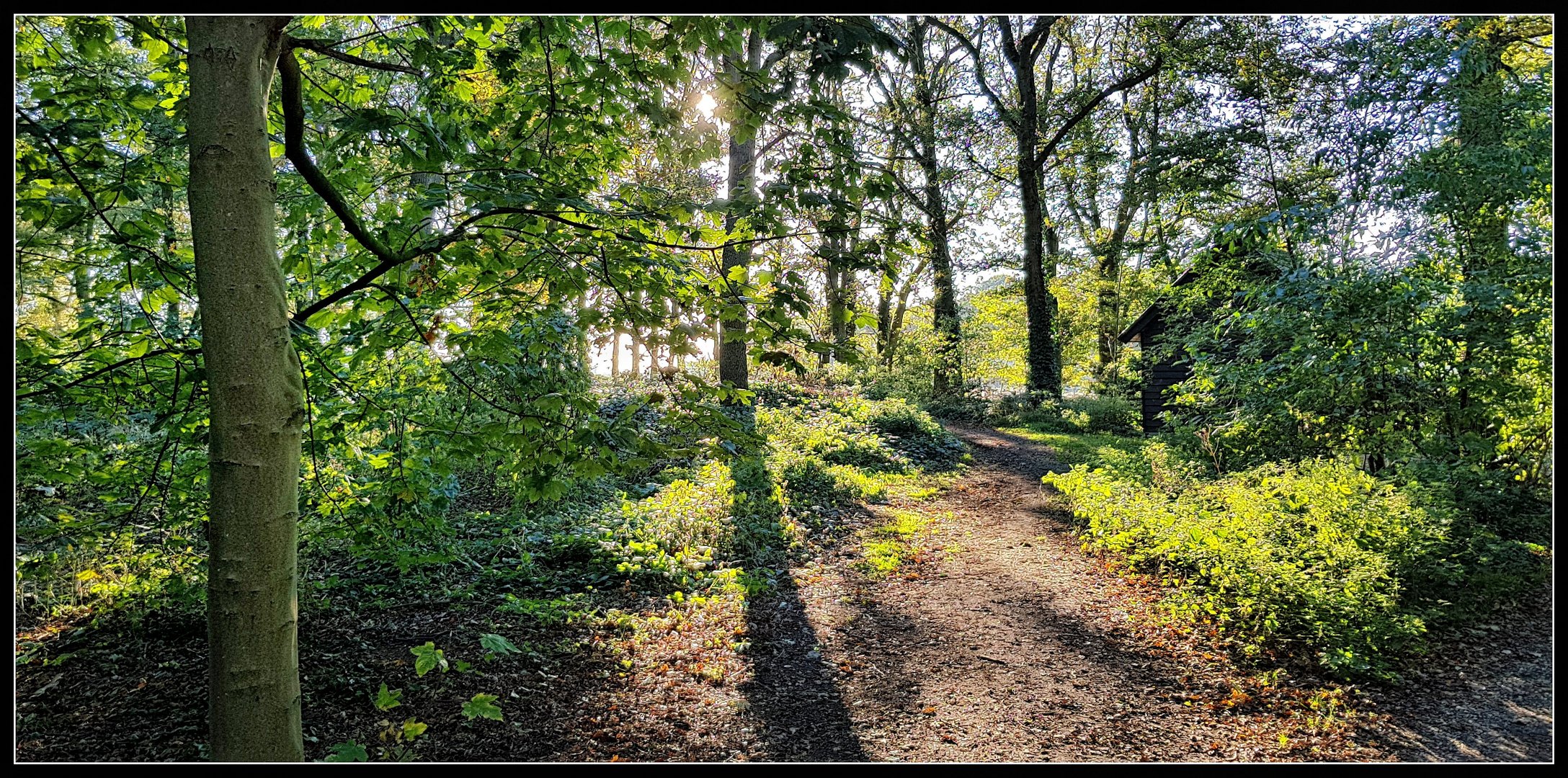 Herbstleuchten