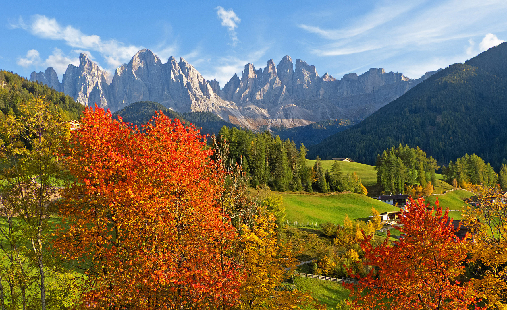 Herbstleuchten